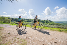 Italy-Northern Italy-Mountainbike from Trieste to Porec
